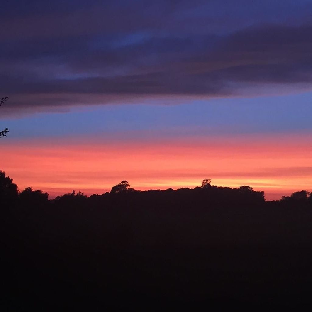 Great sky in the park tonight ift.tt/2vprpzf