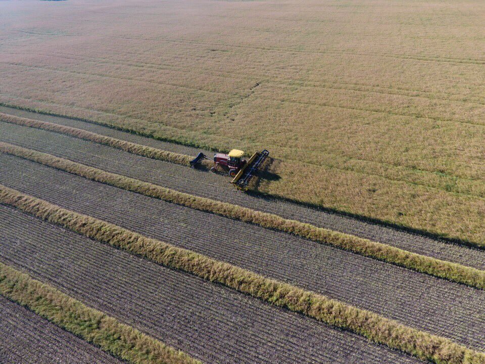 jordan_macnab's tweet photo. @ChrestenNielsen Where are all these drone pics you were promising us?? https://t.co/R17SnwEy3J