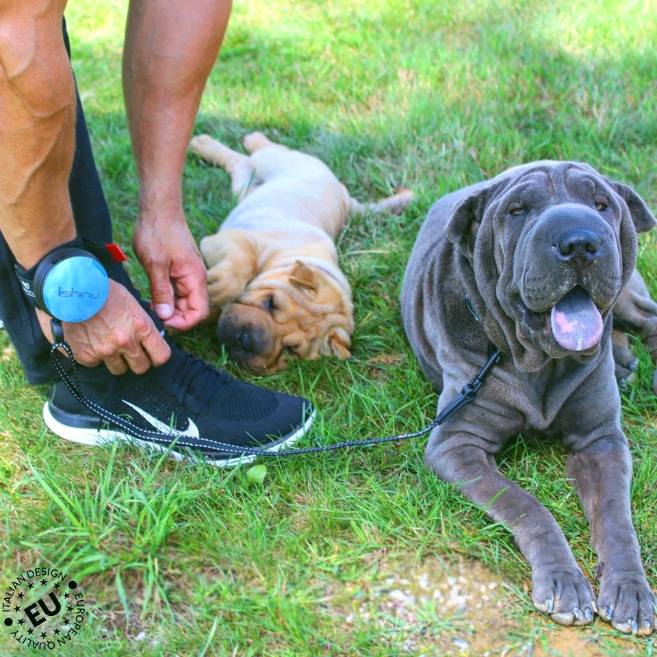 Lishinu's tweet photo. I Don't Have Time For a Break...!!🐶 
Take a break with a hands free dog leash - https://t.co/Bf0CMbWQET🐾🔝
#dogsoftwitter #Dog #dogtweets https://t.co/yNjdft77ik