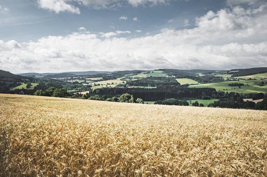 Dvorix's tweet photo. Homeland.
#sumava #bohmerwald #homeland #rodnahrouda #czechlandscape #landscape #olympusczsk #olympusomd #omd5mark2 #igerscz #featureshotz… https://t.co/T40ktY7Fh6