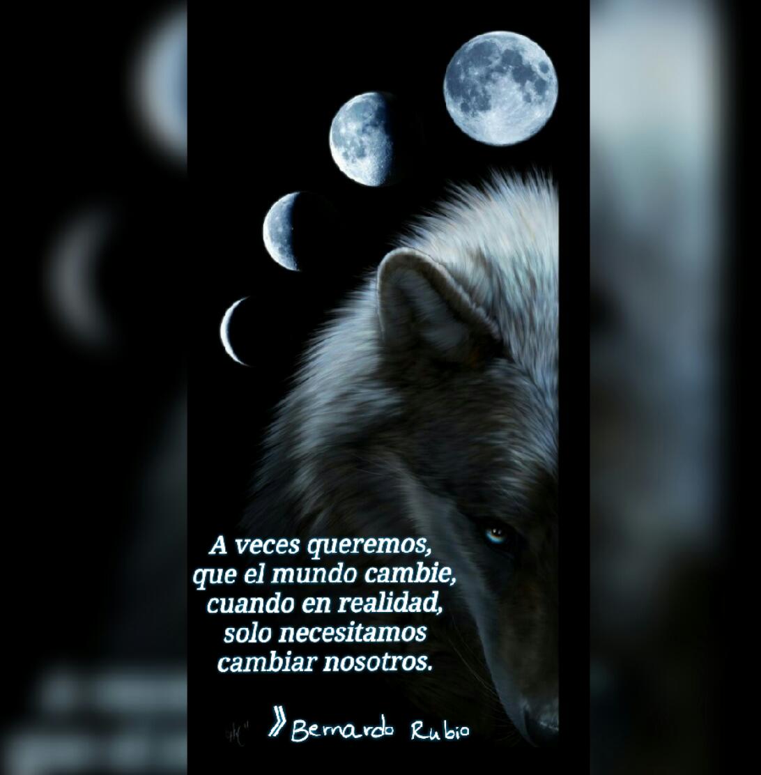 RenacerUn's tweet photo. https://t.co/m2JKNZqYHp