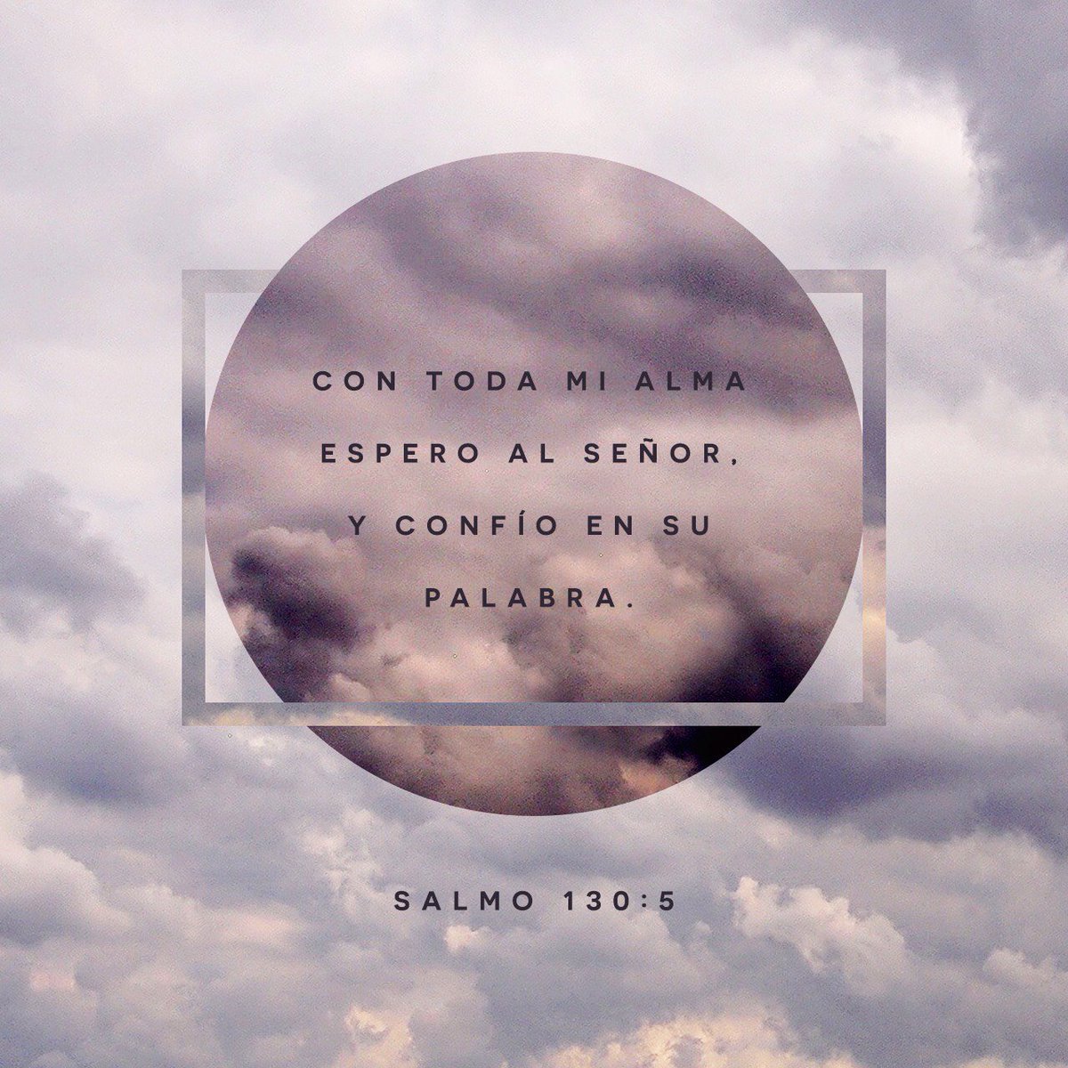 CcpAlto's tweet photo. https://t.co/Qi0JUjY8Kr