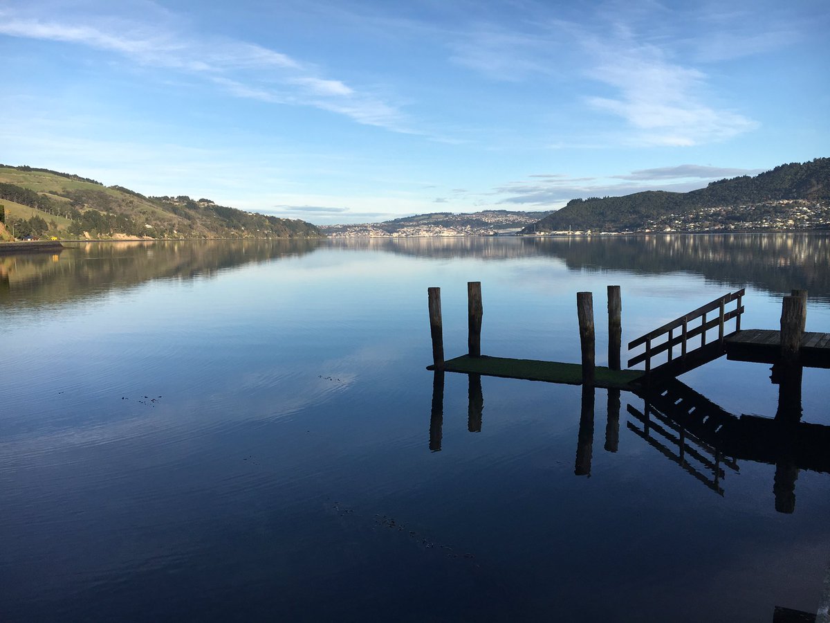 otagopeninsula's tweet photo. Who'd rather be on the Peninsula today? https://t.co/lkhfPJnRnQ