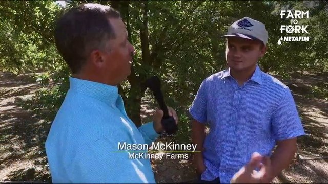 Farm To Fork: Almonds- all about water #sustainability and what farmers are doing to save water and TIME! bit.ly/2wzufGC