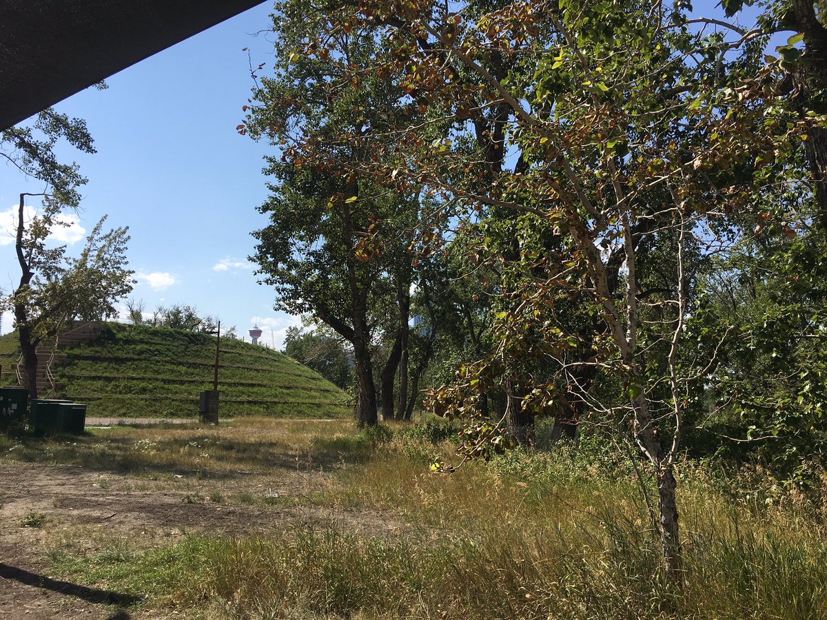 Anne Daniel tweet media