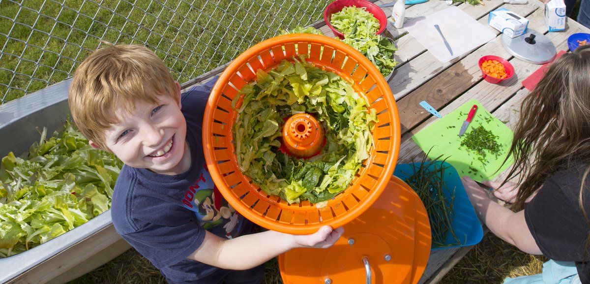 PeoplesGarden's tweet photo. Plant herbs, fruits, and vegetables that are easy to grow, pick and cook. #AdviceForBackToSchool Gardening: https://t.co/HRsiJTdZC7 🍓 https://t.co/s4hsnmQiWc