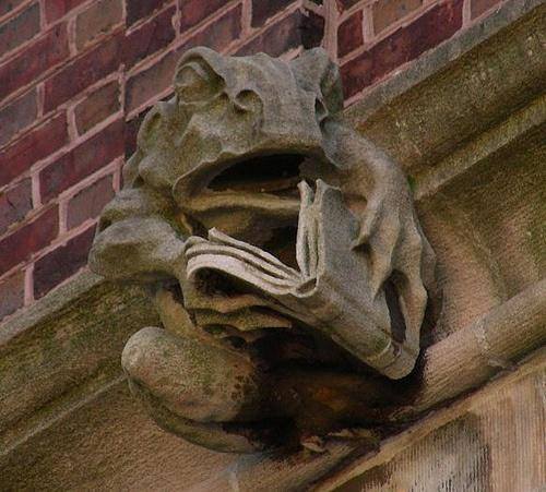rabihalameddine tweet picture