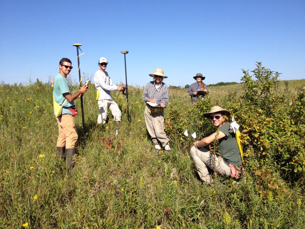 We are assessing survival in a remnant prairie population of Echinacea. #prairie #research <a href="/chicagobotanic/">Chicago Botanic Garden</a>