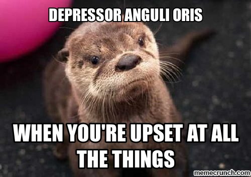 jesus_otter's tweet photo. https://t.co/uB3RPfaymV