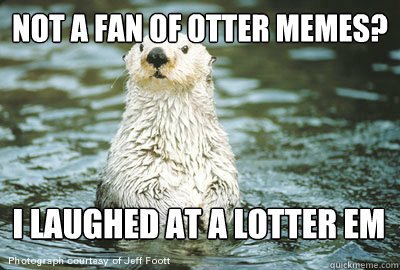 jesus_otter's tweet photo. https://t.co/emCTgiFNHg