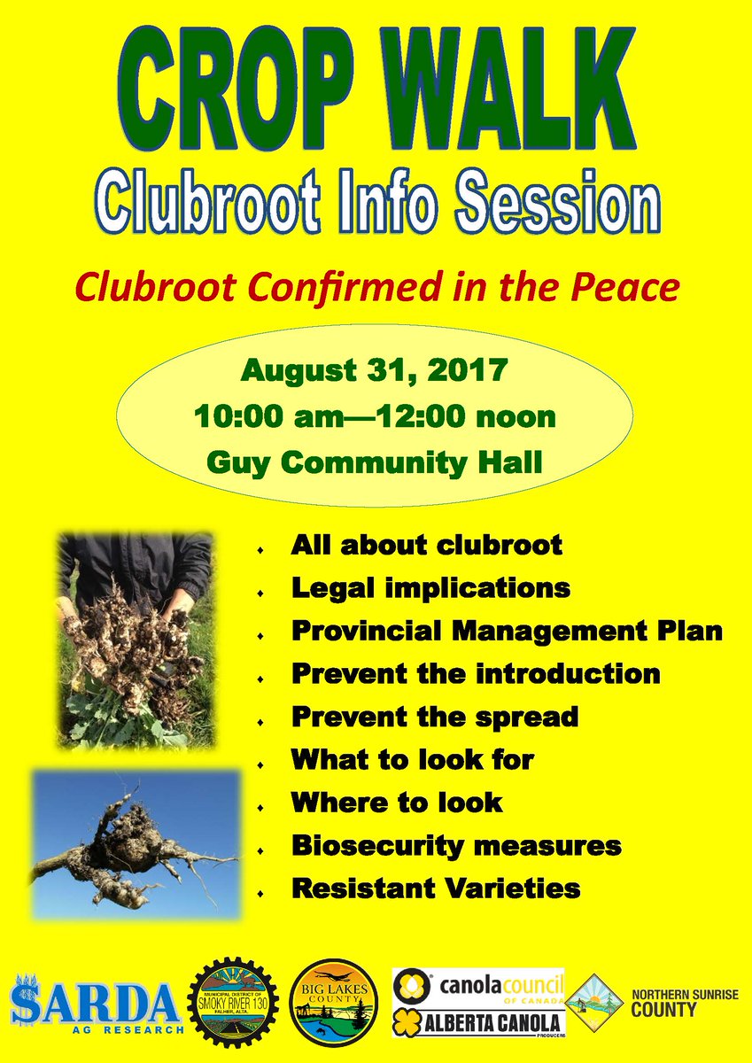 BigLakesCounty's tweet photo. IMPORTANT NOTICE: Clubroot has been found in Big Lakes County.
For more details contact: Sheila Kaus Agricultural Fieldman -780-523-8249 https://t.co/nBrqSId6hl