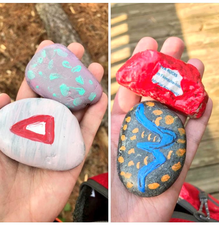 rvarocks804's tweet photo. Lindsay found these @ #DeepRunPark! These will travel to a new park! #rvarocks #rvarocksofficial #paintedrocks #community #travelingrocks https://t.co/bHwWsa2qEK