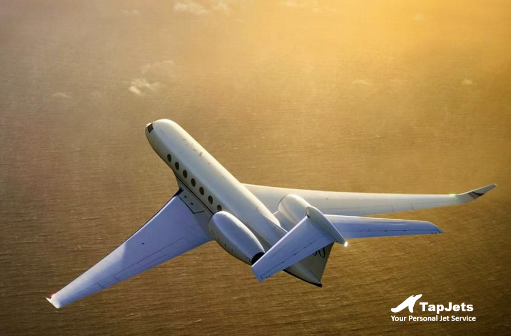 TapJets's tweet photo. Anyone need a lift?
Book your flight in 30 sec via https://t.co/mLnmq6LbfA
#Luxury_Travel #Fly_Private #Leisure #BusinessAviation https://t.co/l7WBClxPs8