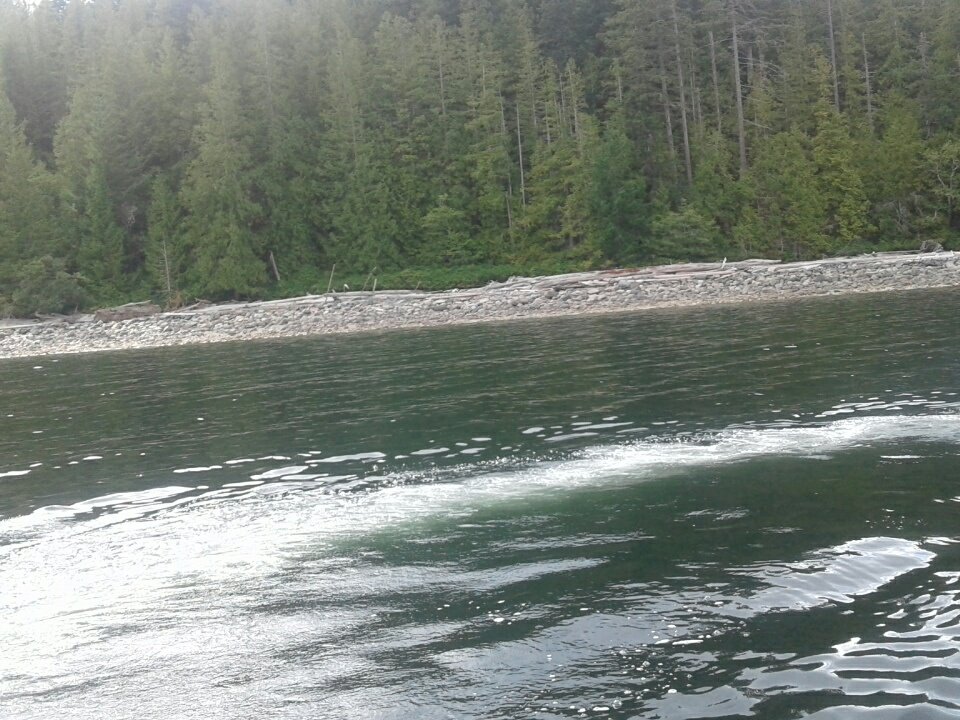 MistickFarm's tweet image. Fun on the water today