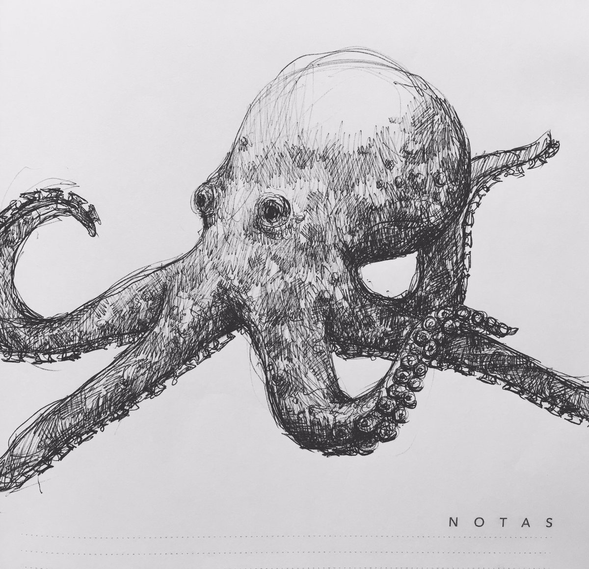alejitafield's tweet photo. #octopus #drawing #pendrawings #boringhere https://t.co/8oH5Ar90gE