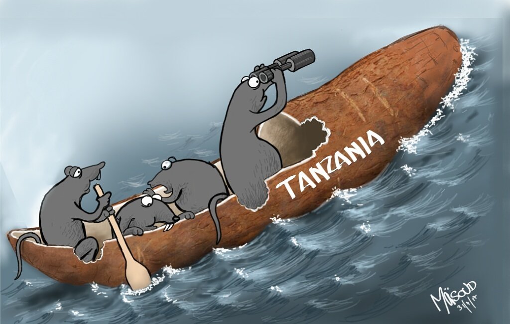 masoudkipanya's tweet photo. Huu si muhogo huu? https://t.co/vsnGuS3tds