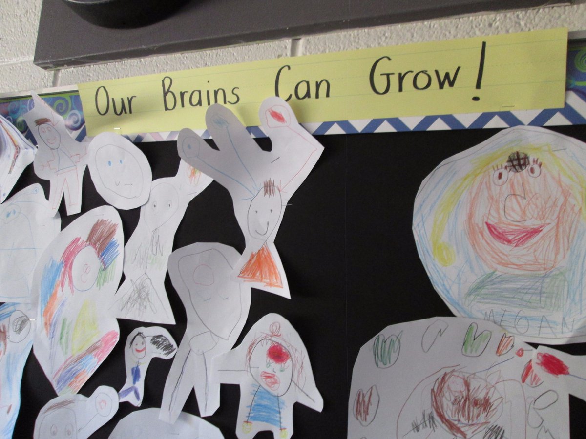AKinderPlace's tweet photo. Here are our growing brains! Ask your child how their brains will grow and change   #amkindergarten #pmkindergarten #mindsetforlearning https://t.co/rrfWtut8Sz