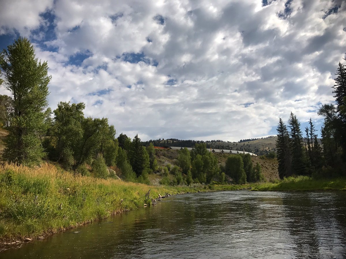 theflytrout's tweet photo. I hear the train a comin' 🎶 #ItsRollinRoundTheBend #flyfishing #colorado https://t.co/w1QjoTnYp2