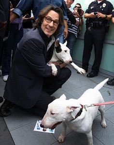 Happy birthday to super dog lover Rick Springfield!  