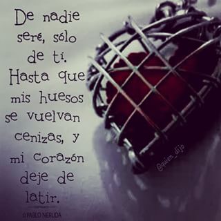 R5C8_'s tweet photo. 🌼#TeamProfesiones🌼
🌛#Goodnight 🌛

🍄🍃@Veronica_50
🍃🍄@TenLiYad
🍄🍃@O_S_H_E_R_
🍃🍄@_2405mon 
🍄🍃@Kanl2111 
🍃🍄@A_SHI_LA_ https://t.co/jgwjmmlFef