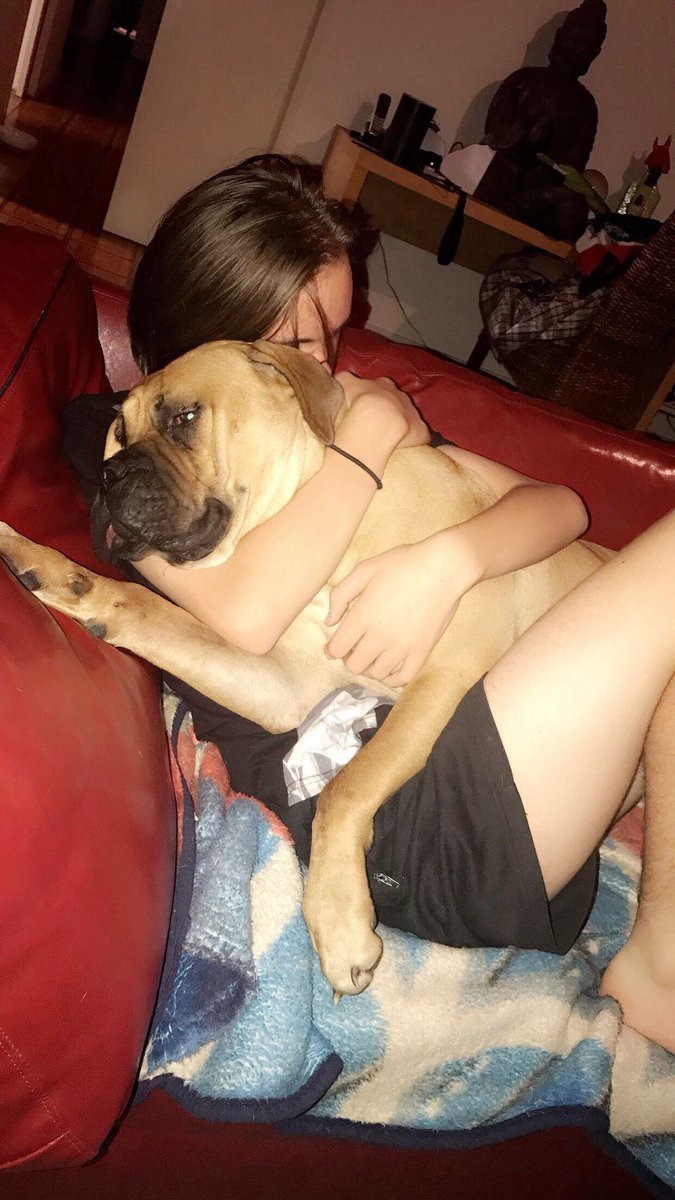 SayuriDog's tweet photo. This is my child he is Hooman but I am boss https://t.co/8RQyuQT0T0