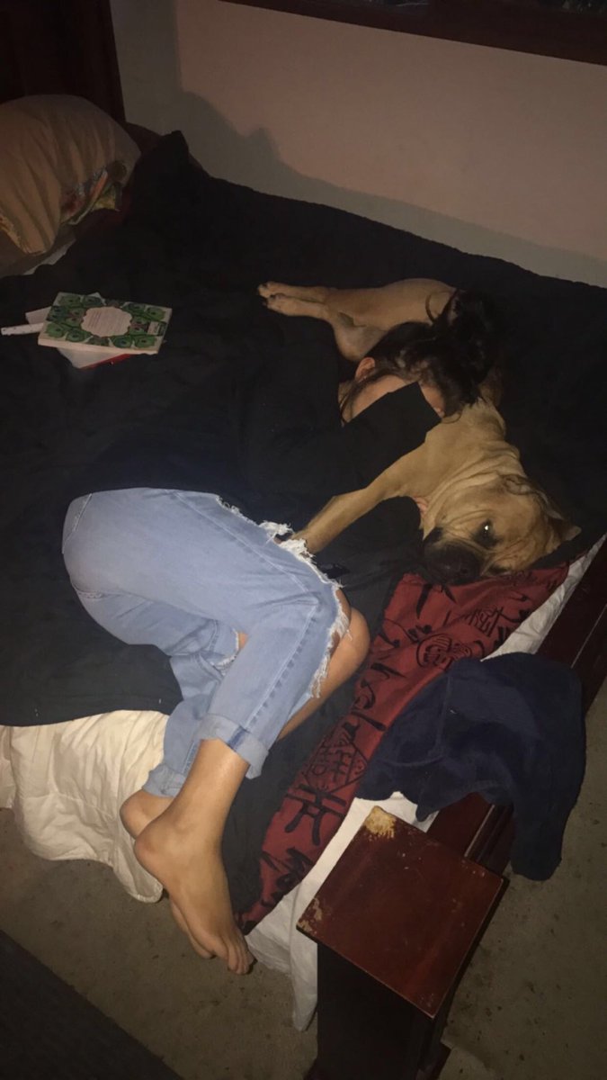 SayuriDog's tweet photo. Mother of Hoomans https://t.co/riVGVHwyHD