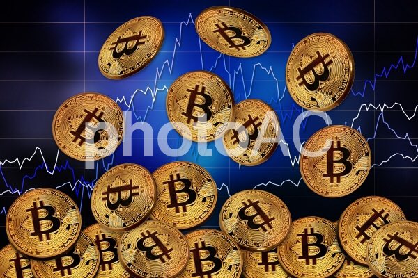 Hd限定ビットコイン フリー画像 美しい花の画像