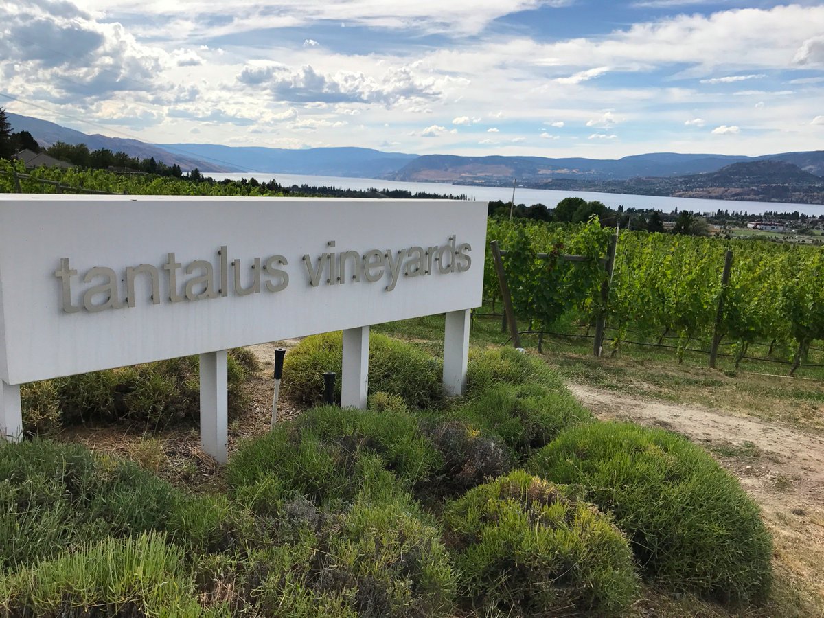 Erika Dawn (@erikauncorked) on Twitter photo Spent the afternoon tasting at one of my fav wineries! May or may not have brought the Chardonnay home. <a href="/tantaluswine/">Tantalus Vineyards</a> #siplocal #bcwine Spent the afternoon tasting at one of my fav wineries! May or may not have brought the Chardonnay home. <a href="/tantaluswine/">Tantalus Vineyards</a> #siplocal #bcwine
