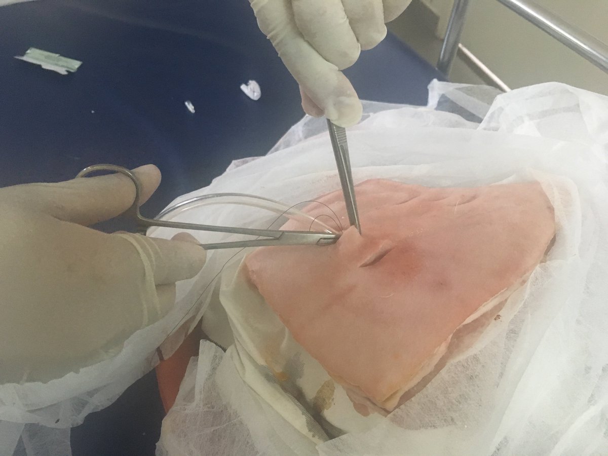 Treinatimefc's tweet photo. low cost medical simulation. pig simulação médica de baixo custo com costela de porco.  drenagem tóracica @timefc https://t.co/w37abJQnEe