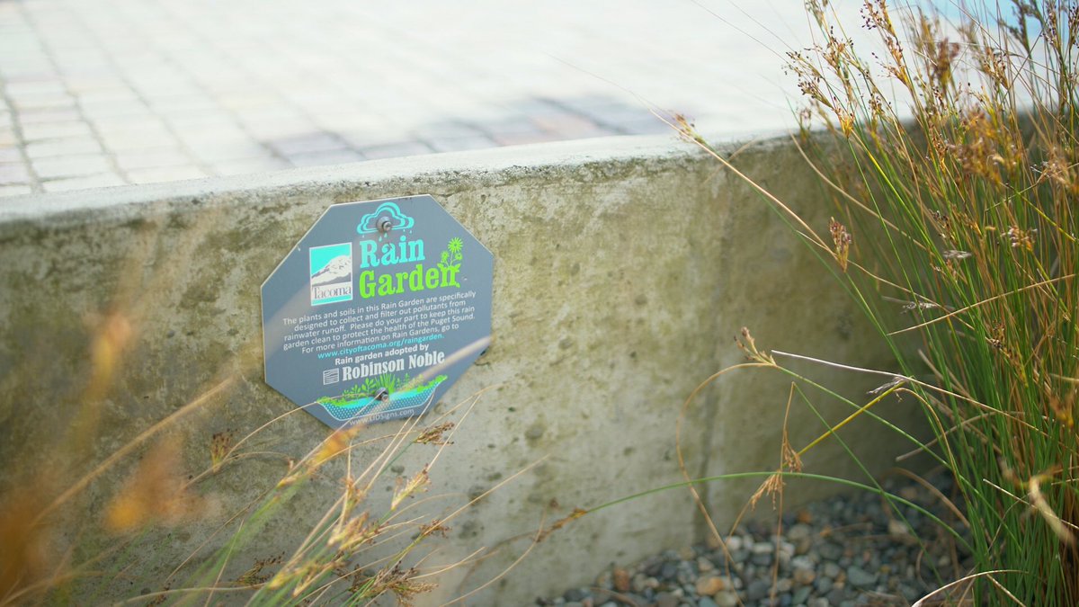 MitchNetzer's tweet photo. Frame grab of my latest video. Some GREAT #Ecology stuff here in WA! #RainGarden #Environment #Filmmaking #SonyShots #A7Sii #VariableND https://t.co/LXrpYSt5B4