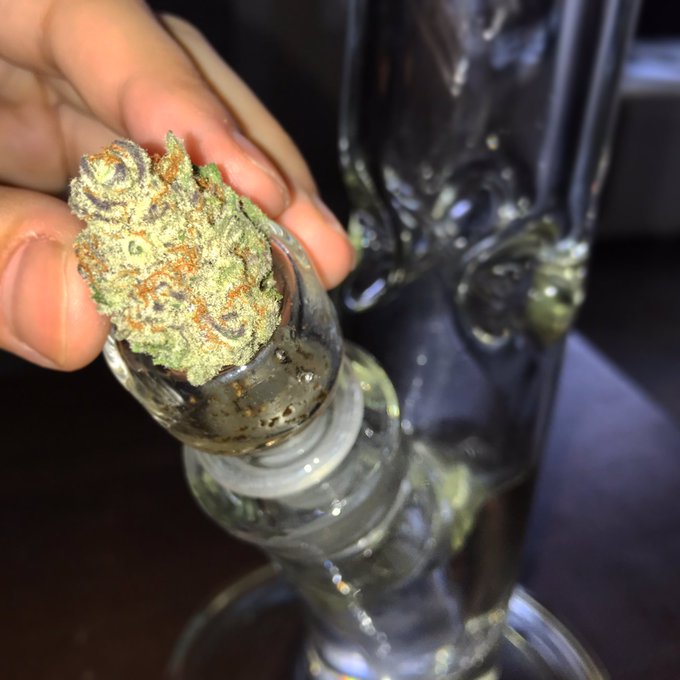 Hey I packed you a bowl 💚😃👌🏼 https://t.co/n4KtgRuO9s