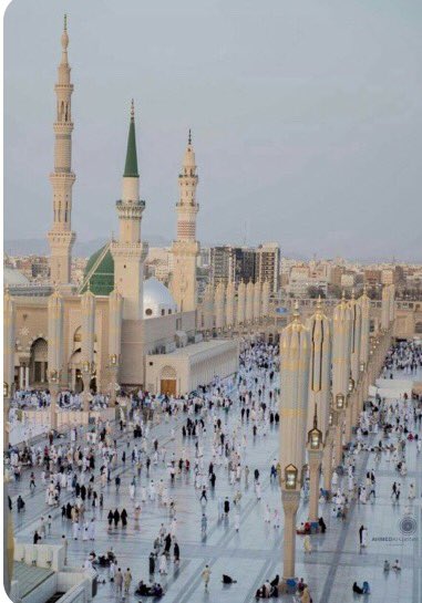 🌹نبض الفؤاد بكل شوق عندما🌹
🌹ذكر النبي وردد الصلوات🌹
🌹والروح مني سافرت لمدينة🌹
🌹هي مهبط للوحي والأيات🌹
#اللهم_صل_على_محمد_وآل_محمد