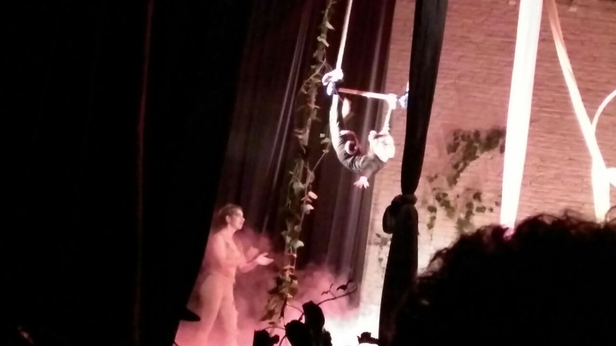 LabriaCecilia's tweet photo. #ernesentrapecio #escueladecirco https://t.co/Y2OOBiSkRq