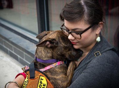 MIPooh's tweet photo. #Fostering Shelter #Pets Saves Lives
Give A Wonderful Gift ~ Get One In Return
#Foster #Adopt
#Dogs #Cats https://t.co/m2t3INheFR