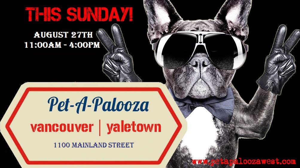FUN EVENT coming your way! PET-A-PALOOZA!!!! With over 50 different exhibitors and a Wiener Dog Race! petapaloozawest.com/vancouver-wher…