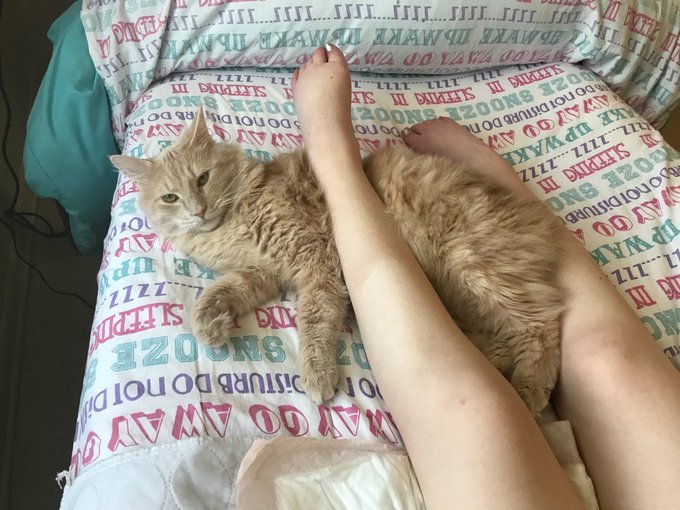 Morning buddy. https://t.co/reWvCs6rm9<a href="/tag/nicedaytour"class="tags"><span>#nicedaytour</span></a>