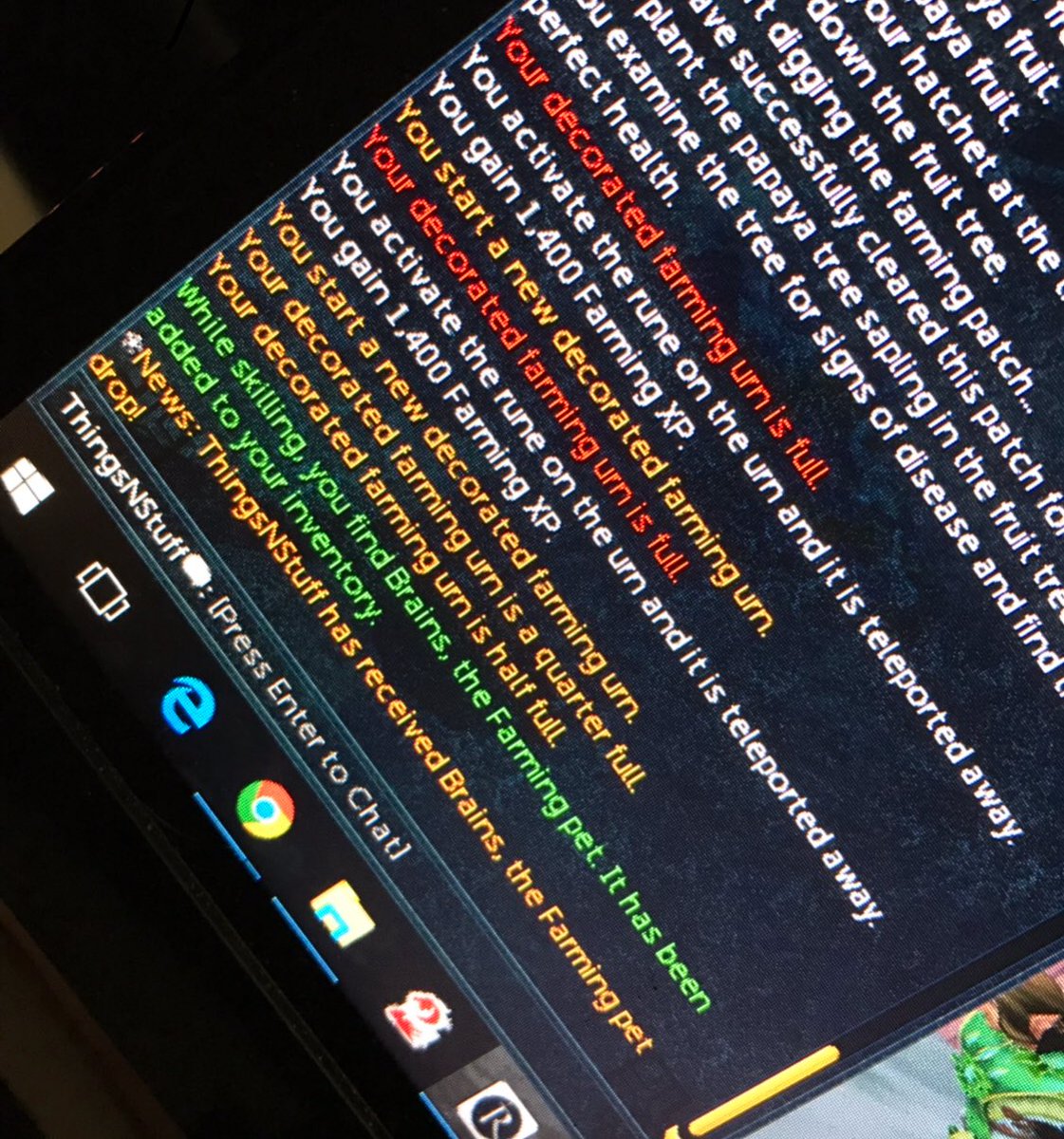 DannyNetwrk's tweet photo. Just got the farming pet! #RuneScape #petscape https://t.co/3HEgN0Yqgv