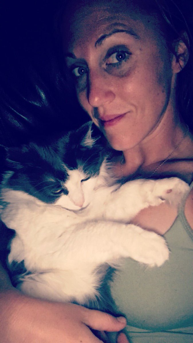 FiWithTheGoatee's tweet photo. Morning snuggles with mom! #FiWithTheGoatee #catsrule #CatsofTwitter https://t.co/E95BwLS1va