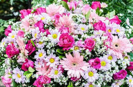 poovanathiru's tweet photo. @andrew4photos WELCOME https://t.co/NjjlQCVmOk
