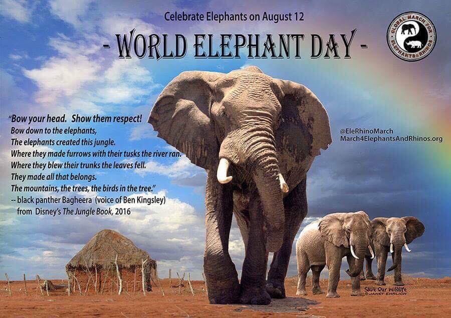EleRhinoMarch's tweet photo. "Bow your head. Show them Respect! Bow down to the #Elephants ..."
#WorldElephantDay 
*Earth will NOT survive without this iconic species!* https://t.co/E8WImu9rvn