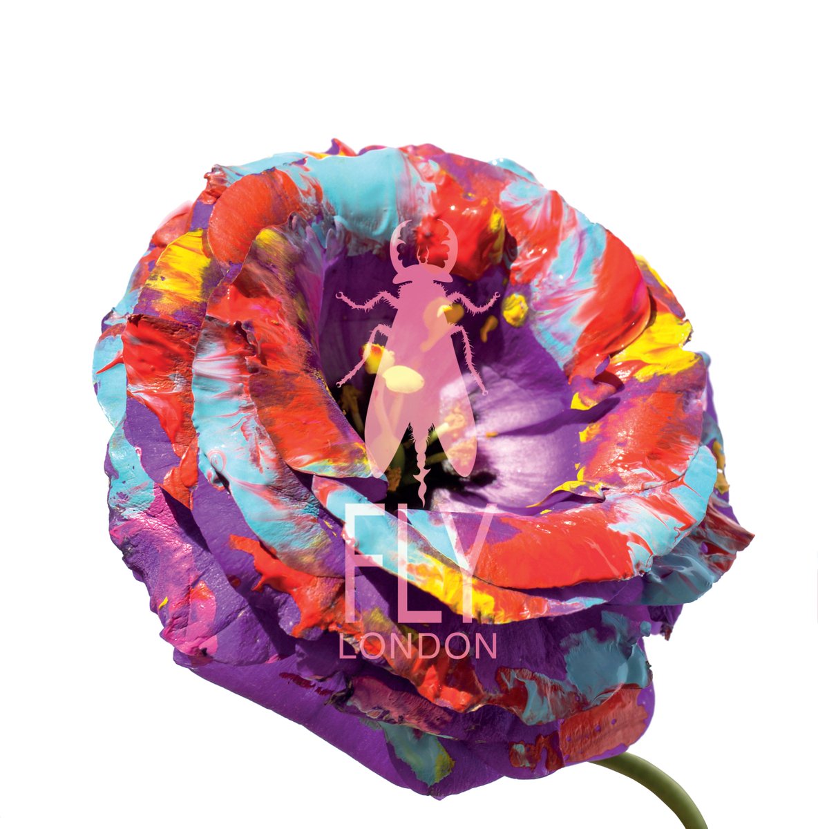 ShoefishUK's tweet photo. Make great savings on sandals from @flylondonshoes in our summer sale https://t.co/youcNIh7PX #fly #flylondon #sale #summersale https://t.co/4ngsO3Z4sV