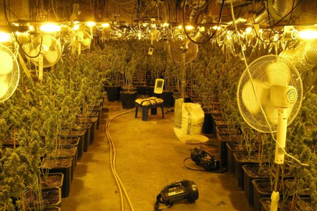 MarthGetHigh's tweet image. Ours is best you find around,we sell in small/large,discreet delivery,Contact:
Kik..drugchemist
Wickr..curex4
Skype..marilynschneider005@gma