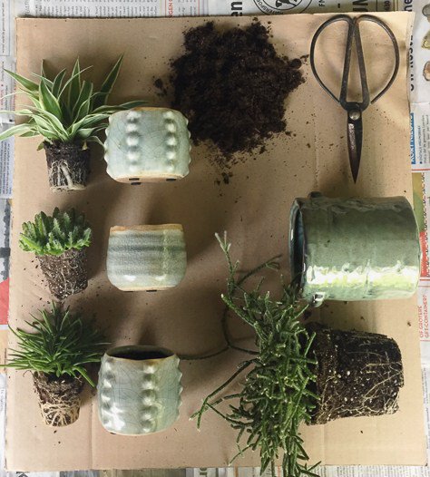 maak je eigen urban jungle en geniet van al dat groen in huis! woonschrift.nl/maak-je-eigen-…