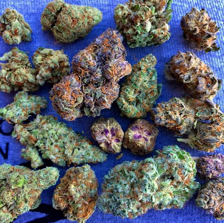 MarthGetHigh's tweet image. Ours is best you find around,we sell in small/large,discreet delivery,Contact:
Kik..drugchemist
Wickr..curex4
Skype..marilynschneider005@gma