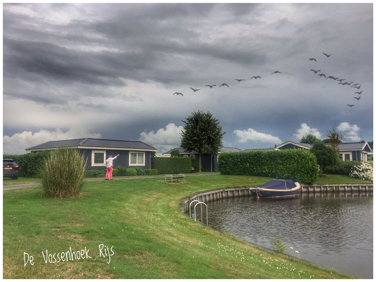 SjDepp's tweet image. Artviewer, Rijs, de Vossenhoek