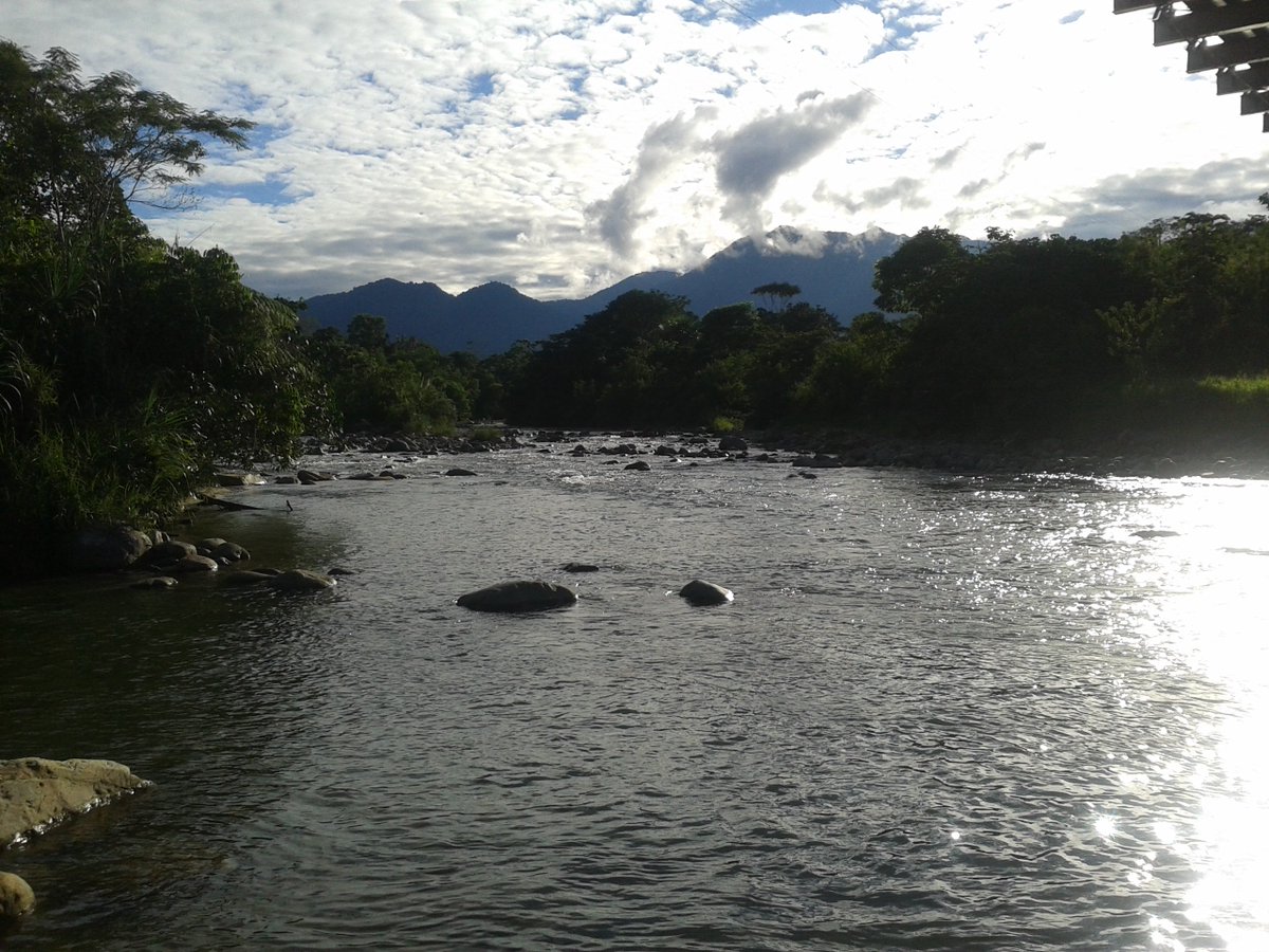 pano_ecu's tweet photo. 🍁 🌻 Tardecita 🌞 ❤️🌿 #ParroquiaPano #Pano #Panense ☘ #LasPalmasTapuy #Saporumi #Uchuculin #Pumayacu #Bandio #GuineaChimbana #LagartoCocha 🌻 https://t.co/NqRfdAS6NJ