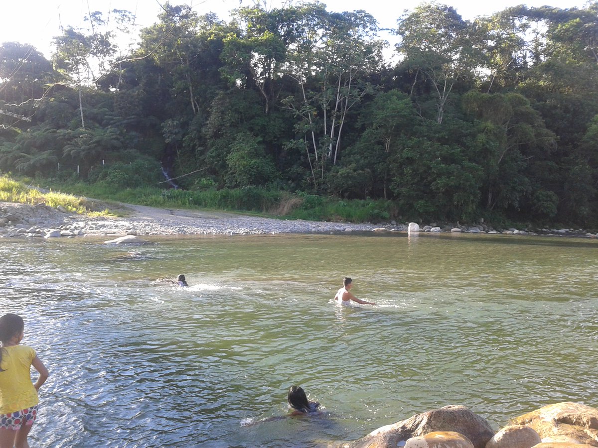 pano_ecu's tweet photo. 🍁 🌻 Tardecita 🌞 ❤️🌿 #ParroquiaPano #Pano #Panense ☘ #LasPalmasTapuy #Saporumi #Uchuculin #Pumayacu #Bandio #GuineaChimbana #LagartoCocha 🌻 https://t.co/NqRfdAS6NJ