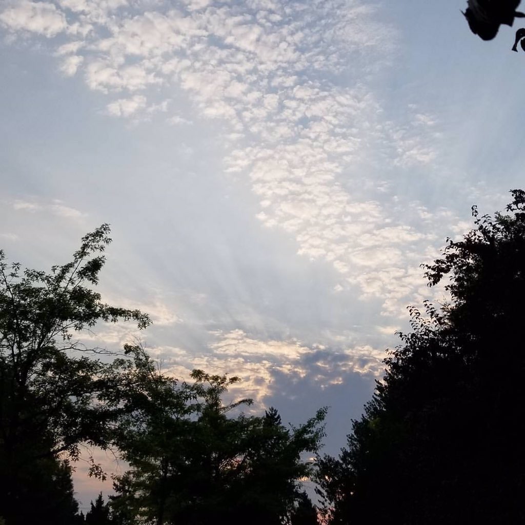 Rust2Marina's tweet photo. @VIAwesome Here in North Delta as well, beautiful!! https://t.co/XTskRE4y6E