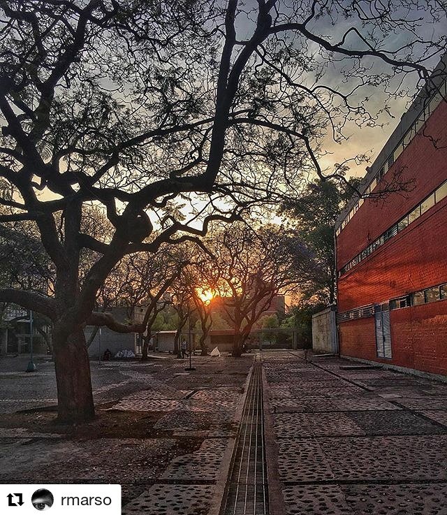 UNAM_MX's tweet photo. En estos primeros días de clases, ¿has visto el amanecer en la UNAM? #PostalUNAM de @rmarso. ¡Compártenos la tuya! > https://t.co/BLK0t1VJ5A https://t.co/T7otIPEbyN
