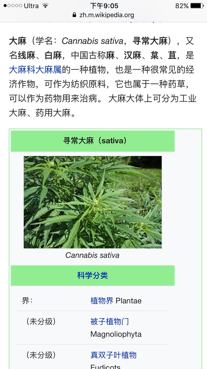 吴祚来on Twitter 公园边常闻大麻烟味 我可能快上瘾了 待大麻合法